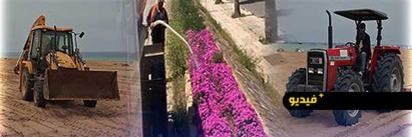 واجهة أركمان البحرية تتجمل.. أشغال مكثفة لتهيئة الشاطئ قبل حلول الصيف