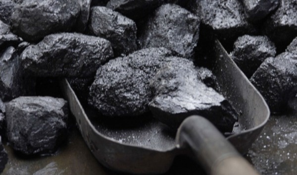 ارتفاع أسعار “الفاخر” في المغرب مع اقتراب عيد الأضحى