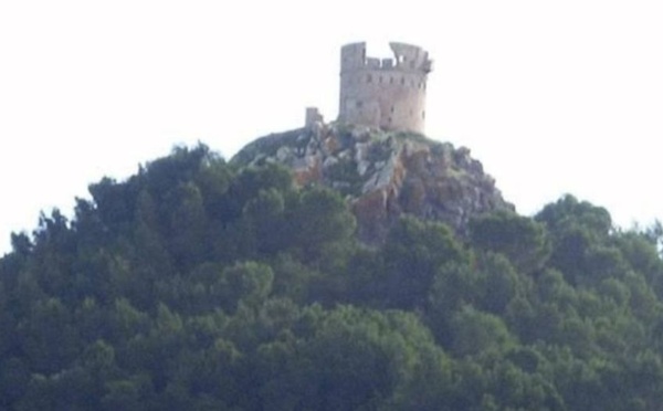 ثازوضا وطريق كروكو على طاولة البرلمان.. سؤال يفتح ملف التنمية بالناظور