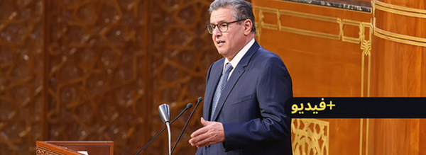 “هادشي لي بغا المواطن”.. أخنوش يحذر "الكسابة" من انخفاض أسعار الأضاحي بسبب تأخرهم في ولوج الأسواق