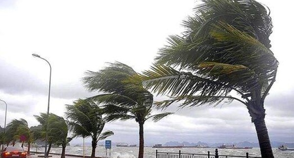 نشرة إنذارية.. رياح قوية وأمطار رعدية تشمل الناظور والدريوش