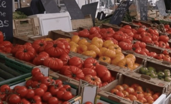 المغرب ضمن أسباب ارتفاع قياسي لأسعار الطماطم في أوروبا