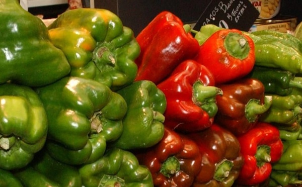 إنذار أوروبي “خطير” بشأن شحنة فلفل مغربية بسبب بقايا مبيد