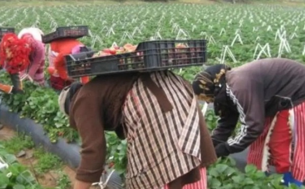 دراسة: المغربيات بالأندلس يواجهن صعوبات في الاندماج المهني