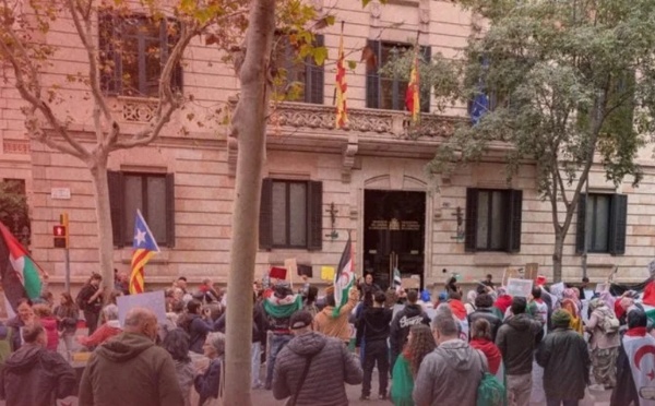 مساطر التسوية في أوروبا تكشف تحديات إدارية في المغرب