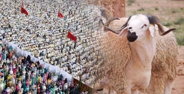 حسابات فلكية ترجّح حلول عيد الأضحى بالمغرب يوم 27 ماي