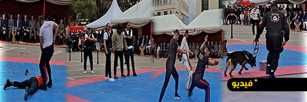 قوات أمنية تستعرض تشكيلات مميزة بالحسيمة.. كلاب بوليسية وإخضاع بالمسدس الكهربائي