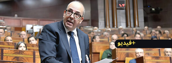 وزير الفلاحة: أسعار الأضاحي تبدأ من 1000 درهم "واللي كيعرف الشناقة يوريهم لينا"