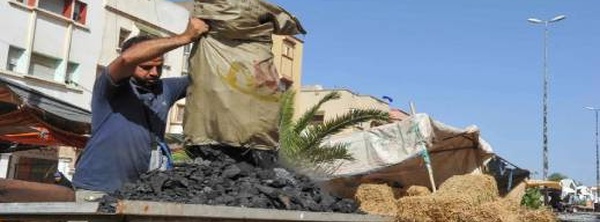أسعار "الفاخر" تشتعل قبل عيد الأضحى.. الفحم الخشبي يسجل زيادات قياسية بالمغرب