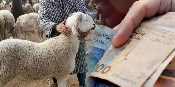 عقوبات حبسية وغرامات صارمة ضد المضاربين في أسعار أضاحي العيد
