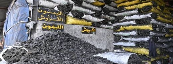 أسعار الفحم تشتعل قبل العيد.. مهنيون يكشفون أسباب الزيادة