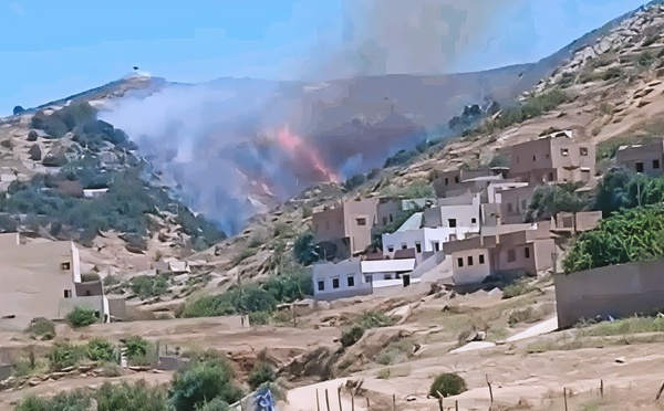 الحسيمة: حريق غابوي يستنفر السلطات ويخلف مخاوف من اتساع رقعته