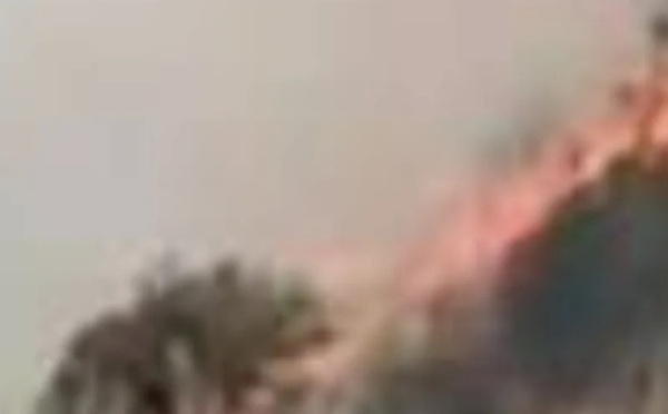 حريق مجهول يستنفر السلطات بمنطقة بادس بالحسيمة والتحقيقات متواصلة لكشف أسبابه