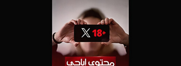 بركان: توقيف شاب وفتاة للاشتباه في تورطهما في تصوير ونشر محتوى إباحي عبر شبكة الإنترنت