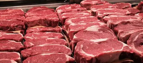 أسعار اللحوم الحمراء تبلغ 180 للكيلوغرام ومهني يستبعد أي انخفاض مرتقب 