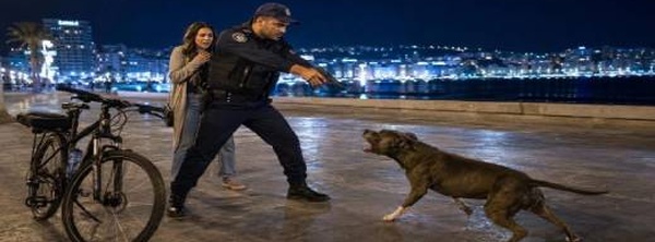رصاص الأمن يتدخل لإنقاذ سيدة من بين مخالب "بيتبول" شرس
