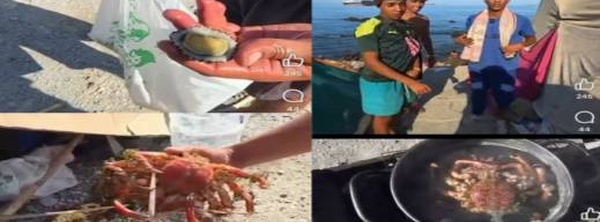 تحريض وشيطنة المهاجرين في سبتة.. فيديوهات صيد «باتيلا فيروغينيا» تشعل الجدل