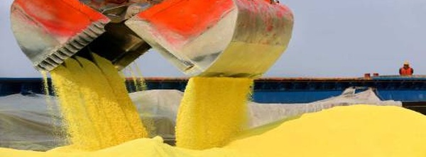 صناعة الأسمدة المغربية في مأزق؟.. قفزة بنسبة 159% في تكاليف استيراد الكبريت وهذا حل المغرب