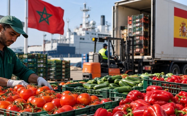 المغرب يتصدر موردي إسبانيا من الخضر والفواكه بقيمة تقارب مليار يورو
