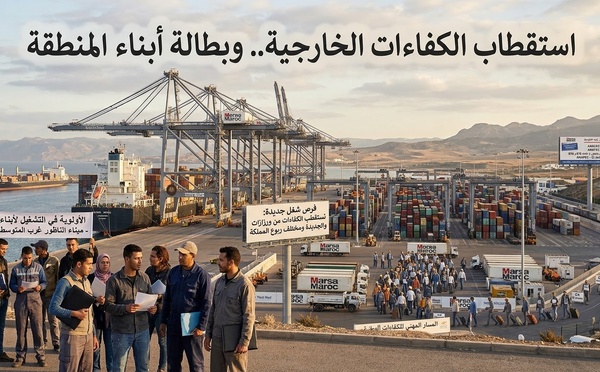 بعد بني ملال.. "أنابيك" تفتح 270 منصب شغل جديد بميناء الناظور بكل من ورزازات والجديدة