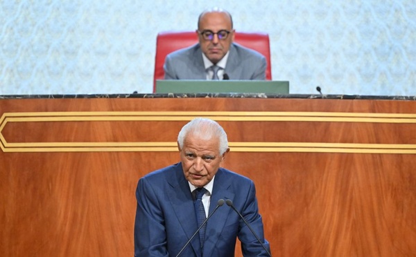 طعن أمام المحكمة الدستورية يطالب بإلغاء انتخاب عرشان نائبا برلماني