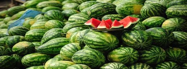 صادرات البطيخ الأحمر.. المغرب يحتفظ بصدارة المزودين لإسبانيا