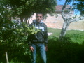 amine_2009@amine.de