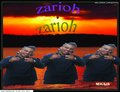 zarioh_2010@hotmail.com