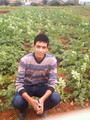 mohamed