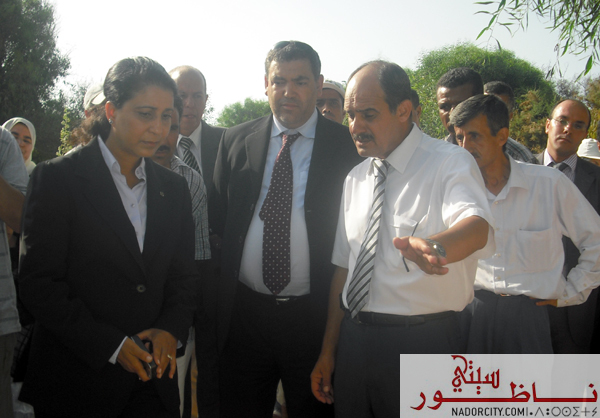 ziaranawal10.jpg
