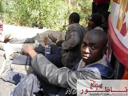 afrikanoth-tfenthan2.jpg