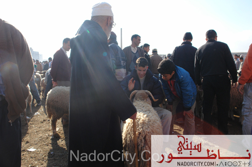 aid2007-18.jpg