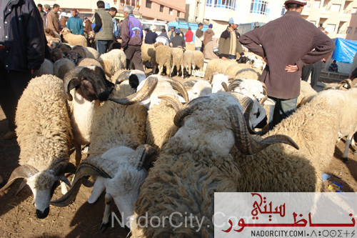 aid2007-25.jpg
