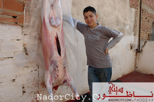 Aid2007Nador7.jpg