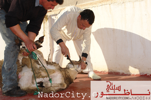 Aid2007Nador8.jpg