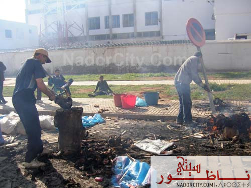 Aid-Aladha4.jpg