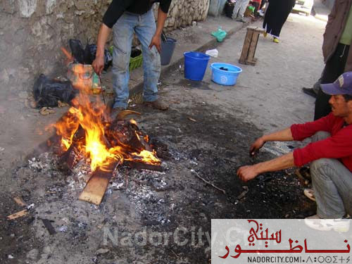 Aid-Aladha5.jpg