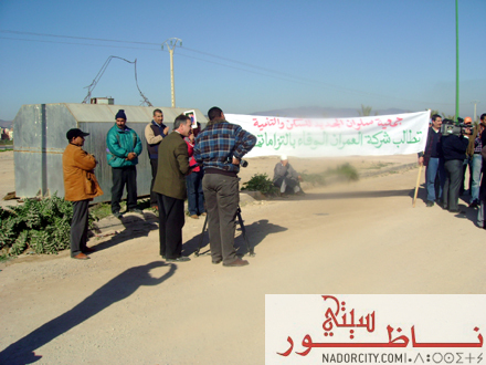 wa9faomran02.jpg