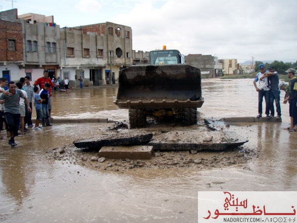 3arid2.jpg