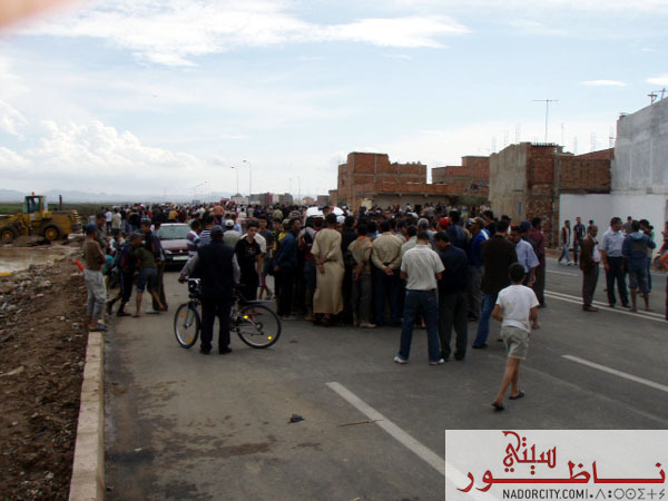 3arid4.jpg