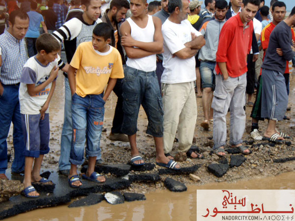 3arid6.jpg