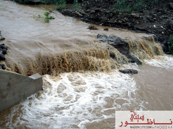 3arid14.jpg