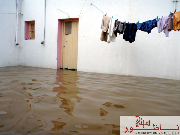 3arid19.jpg