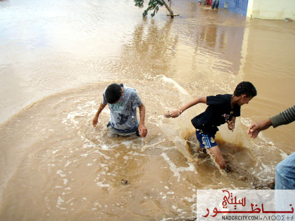 3arid11.jpg