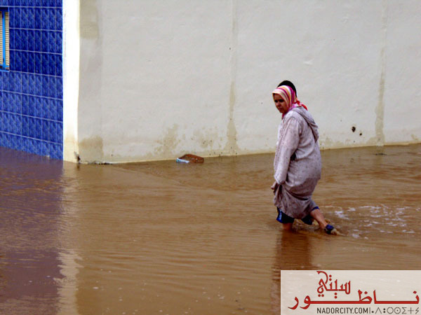 3arid12.jpg