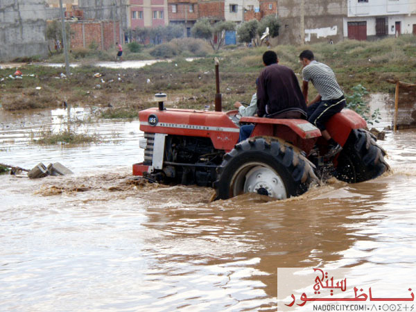 3arid15.jpg