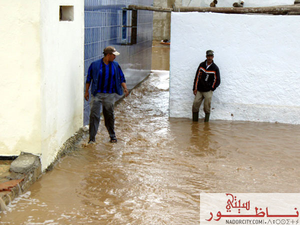 3arid16.jpg