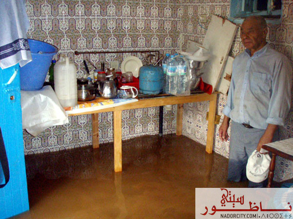 3arid17.jpg