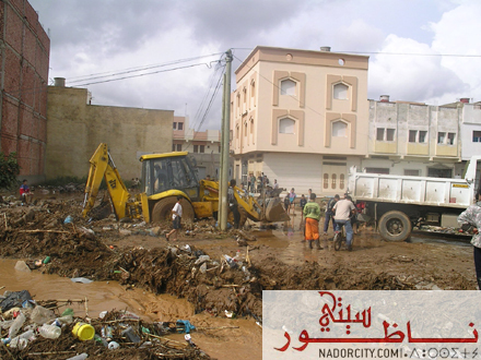 3arrid12.jpg