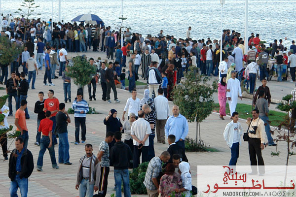 3idalfitarnadorregolarisforum26.jpg